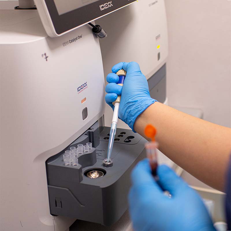 Zdjęcie przedstawiające wnętrze laboratorium kliniki weterynaryjnej w warszawie. Widać maszynę laboratoryjną do badania krwi oraz dłonie w rękawiczkach nabierające próbkę do probówki.