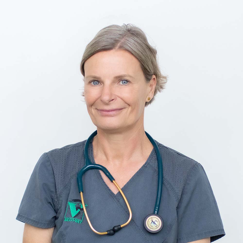 Zdjęcie weterynarz Alicja Wieczorek z Kliniki Multiwet w Warszawie.